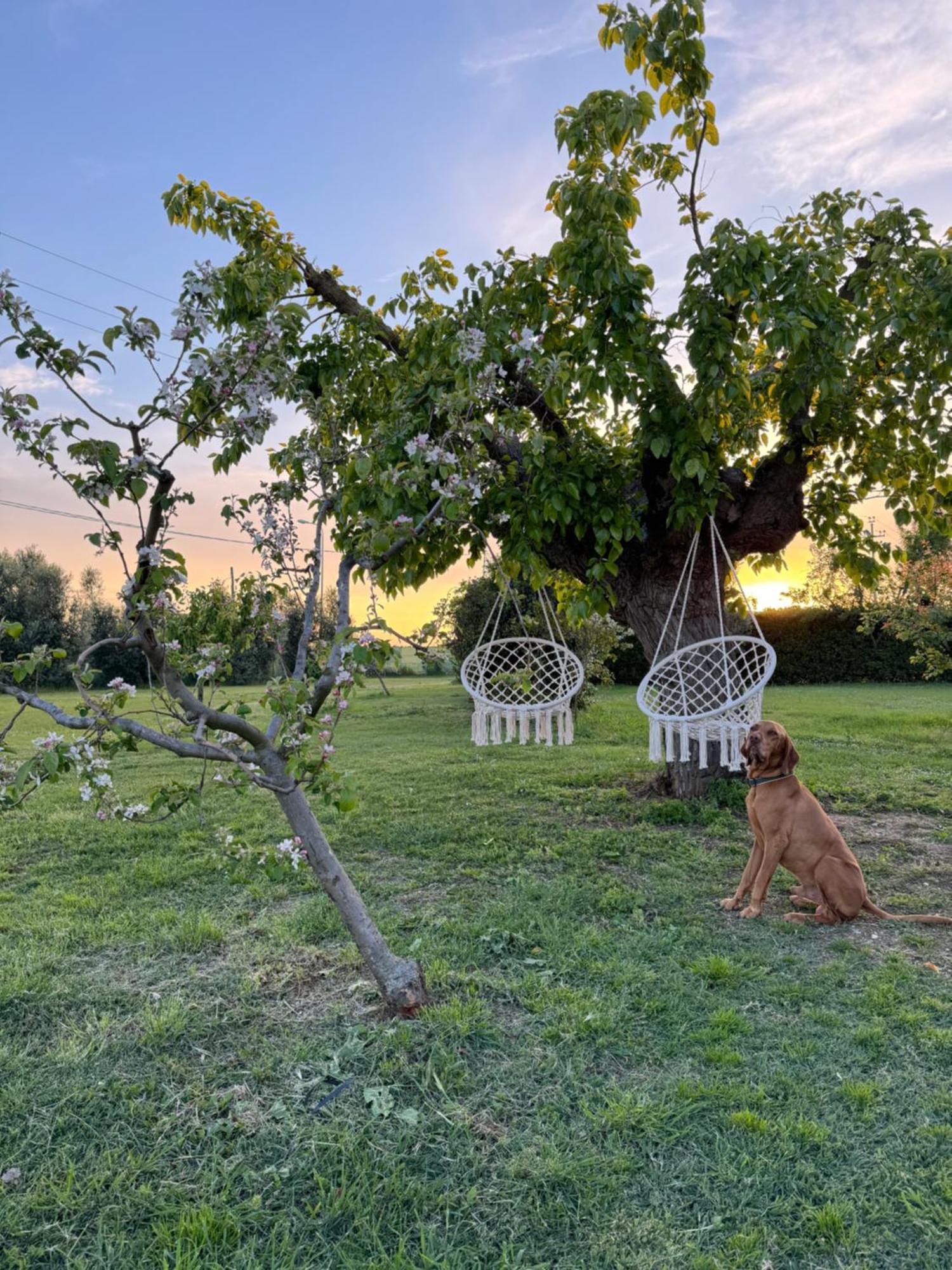 Agriturismo Le Grange ヌマーナ エクステリア 写真
